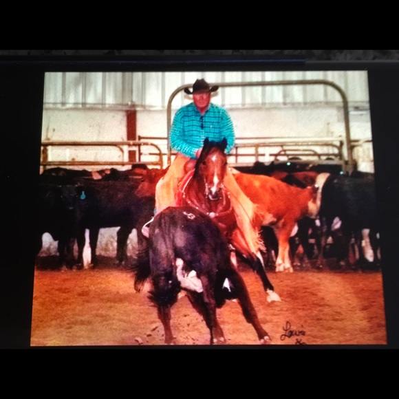 My Fab Four legged babies! Thanks for stopping by! - Picture 4 of 9